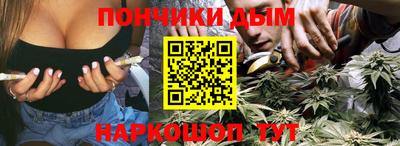 индика Гатчина
