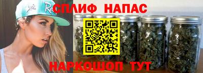 дурь Гай