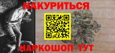 индика Гатчина