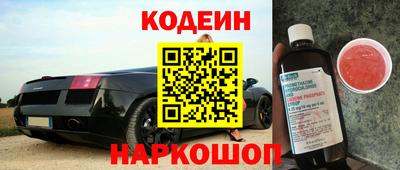 индика Гатчина