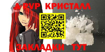 индика Гатчина