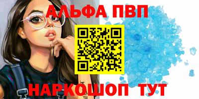 индика Гатчина