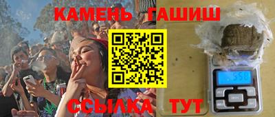 индика Гатчина