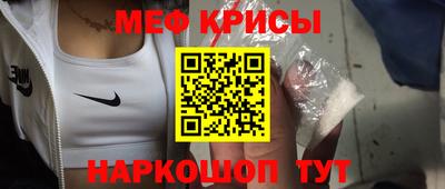 индика Гатчина