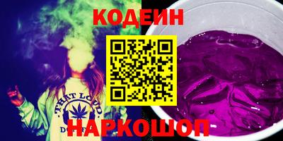 индика Гатчина