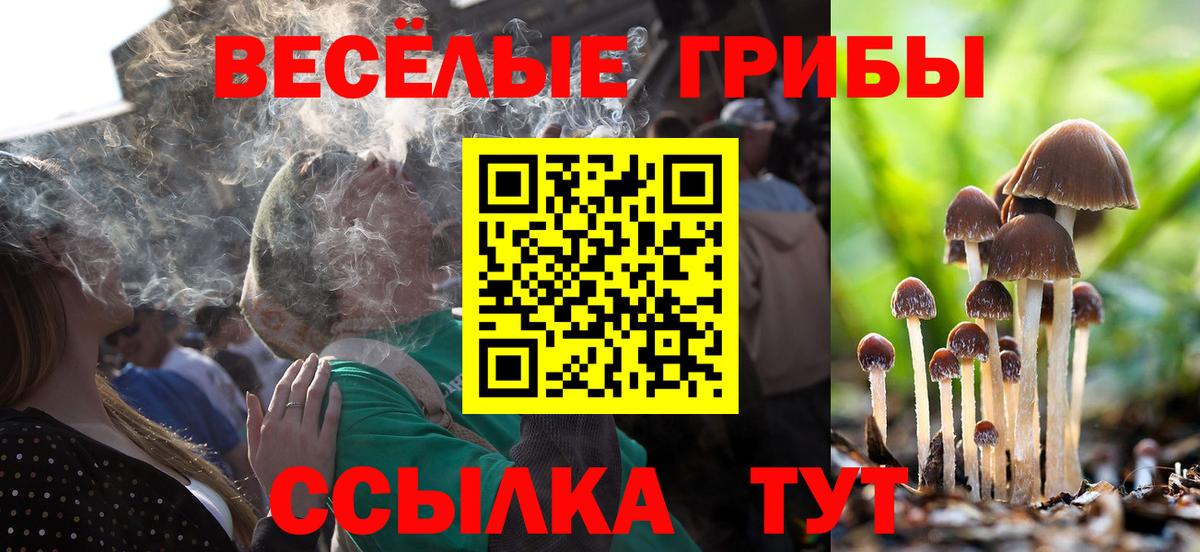 Галлюциногенные грибы Magic Shrooms Екатеринбург