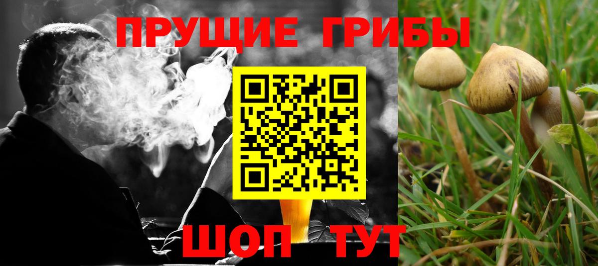 Галлюциногенные грибы прущие грибы  Галлюциногенные грибы Cubensis  Екатеринбург  Вход с VPN 